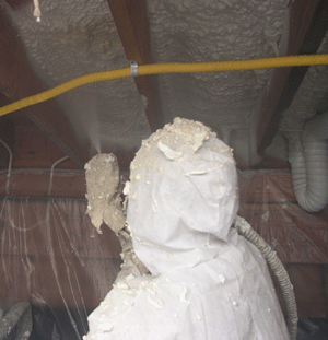 Worcester MA crawl space insulation